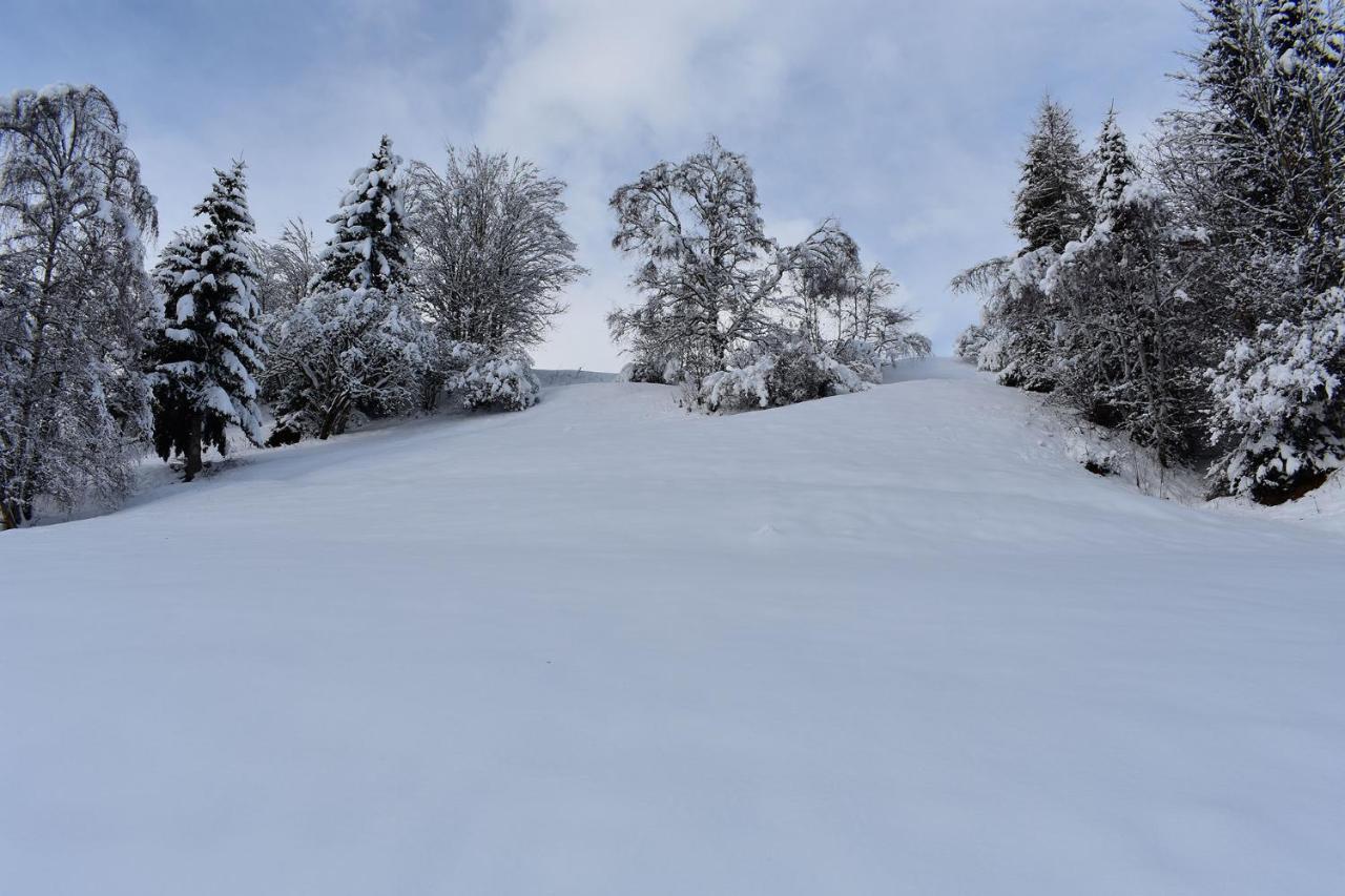 Appartement Am Berg Arzl im Pitztal Exteriör bild